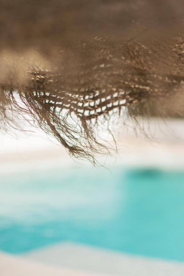 The Olive Boutique Suites & Spa 卡拉隆加 外观 照片